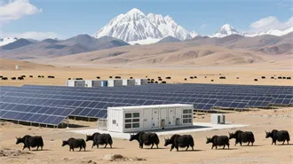 Waterproof & Weather Resistant Boots for Women