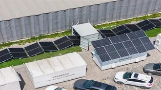 Do vs Does in English Grammar: When and How to Use Them Correctly