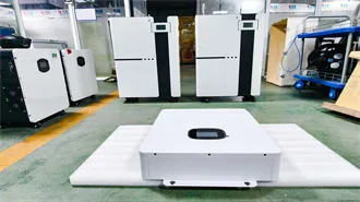 "Do" vs. "Does": How Do You Tell The Difference?