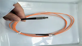 Fourth meeting of the International Health Regulations (2005)