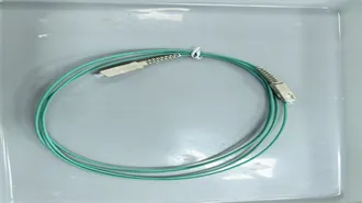 The AI job boom continues: Build the skills that move business