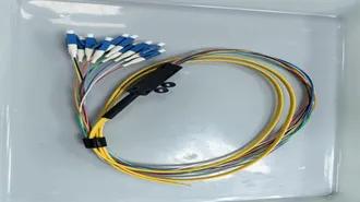 Niue | Population, Capital, Climate, Map, & Language | Britannica