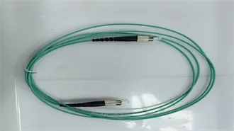 THE 10 BEST Fayetteville Outdoor Activities (Updated 2026)