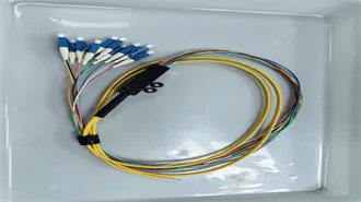 Publix Delivery or Pickup