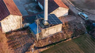 Do vs. Does: The Simple Guide to Subject-Verb Agreement