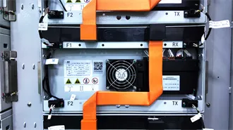 What Does many Mean? Definition & Examples | Dictionary