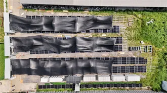 North Italia, Tucson