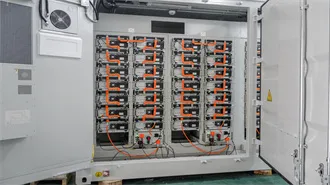 Many: Definition, Meaning, and Examples