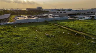 Commercial and Industrial Energy Storage Cabinet