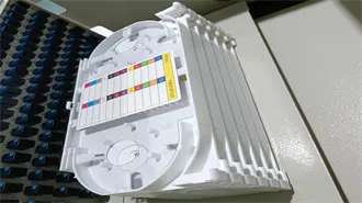 Create and edit documents for free | Microsoft Word for the Web